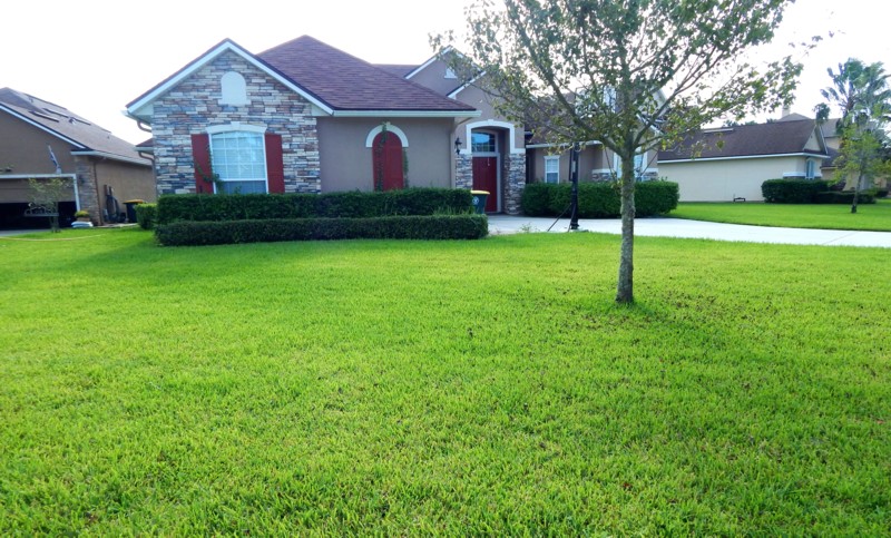 Jacksonville Lawn Pest Control - Integrity Lawn Pest Control