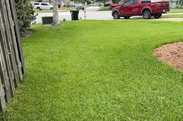 Lawn Care Tips