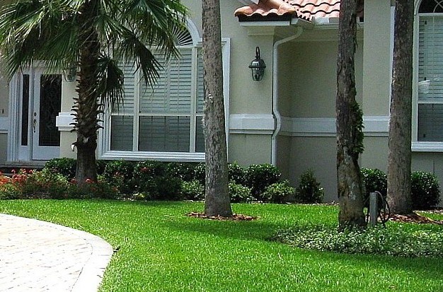 Lawn Care Tips
