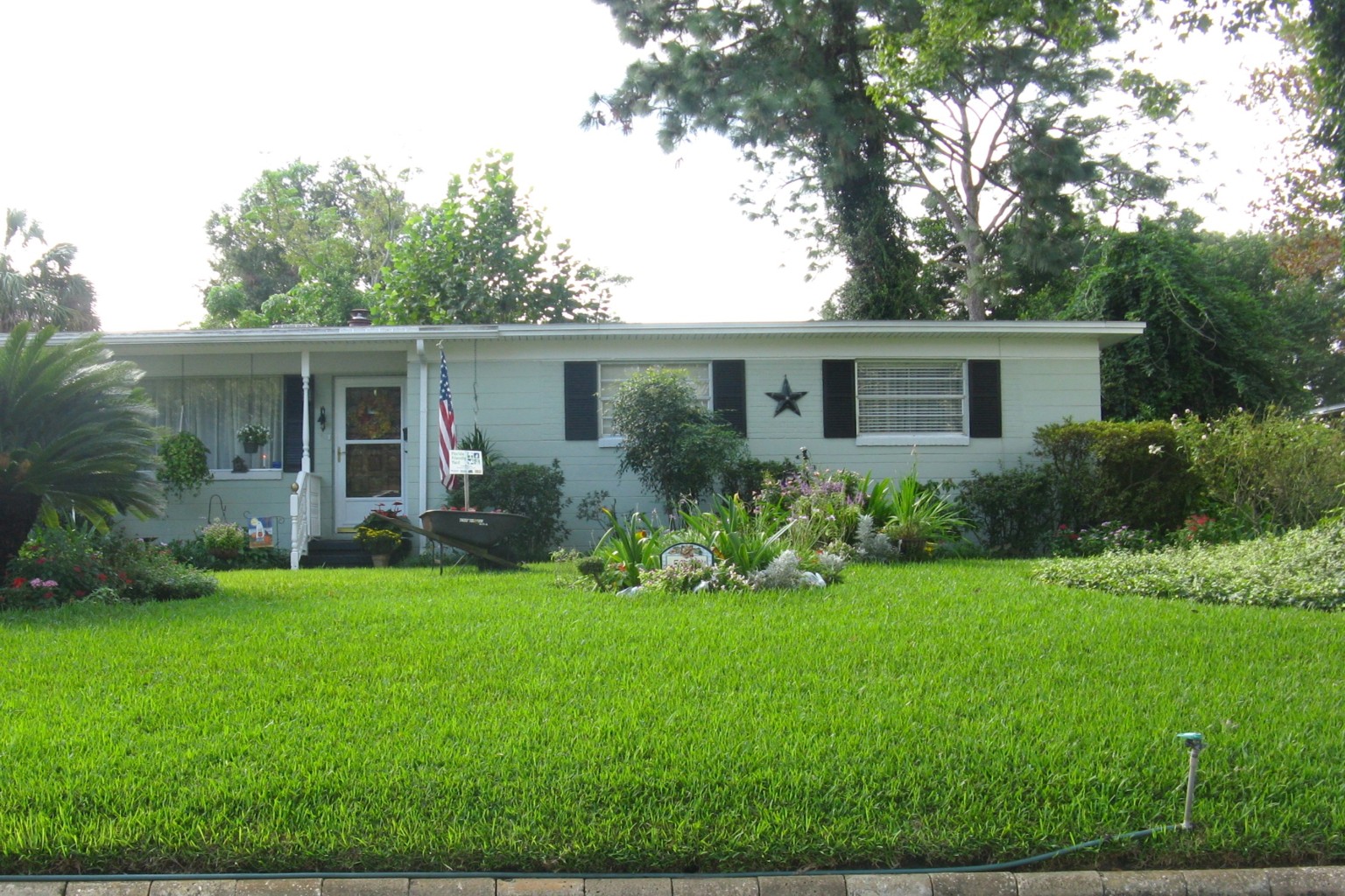 Lawn Care Tips