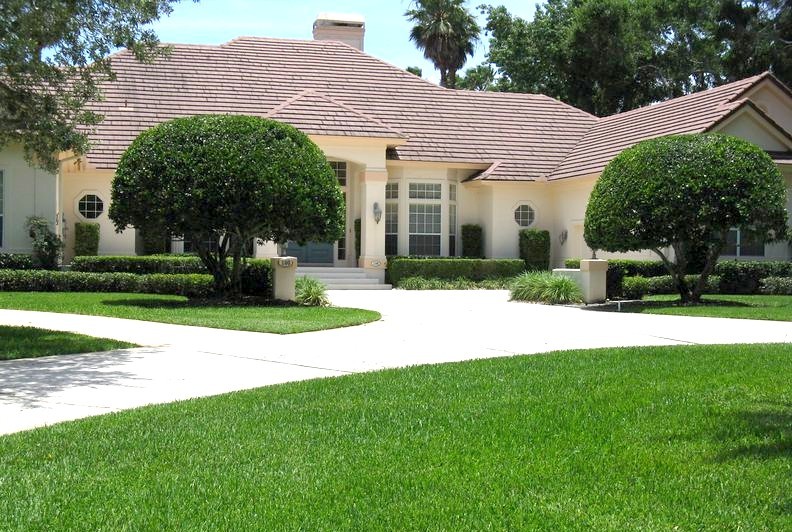 Lawn Pest Prevention Tips for Summer