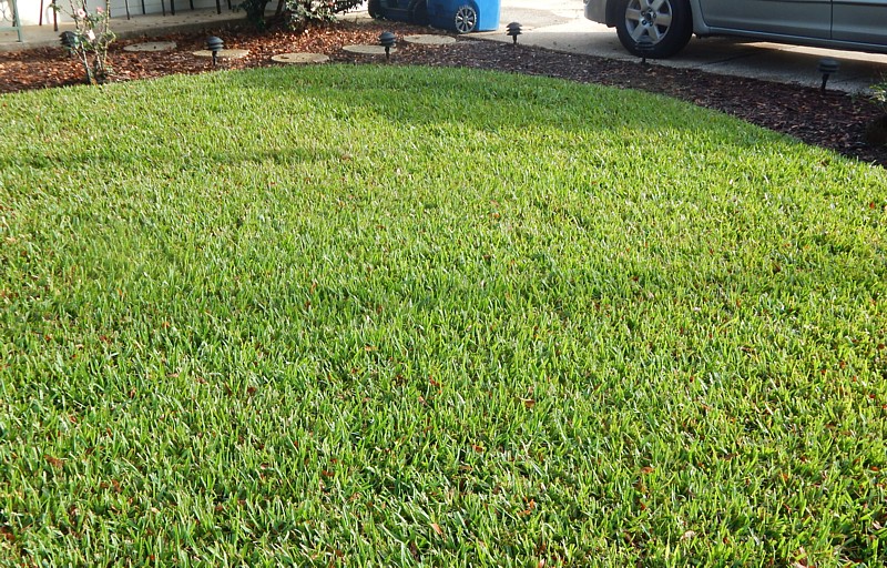 Get a beautiful lawn