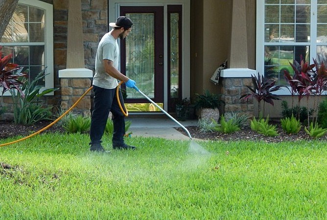 The Ultimate Guide to Preventing Lawn Pests in Florida
